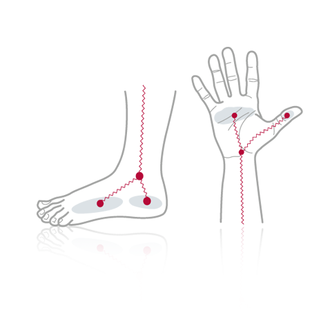 InBody Technology | InBody Oceania - Why Our BIA Devices Are The Best