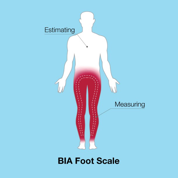 InBody Technology | InBody Oceania - Why Our BIA Devices Are The Best