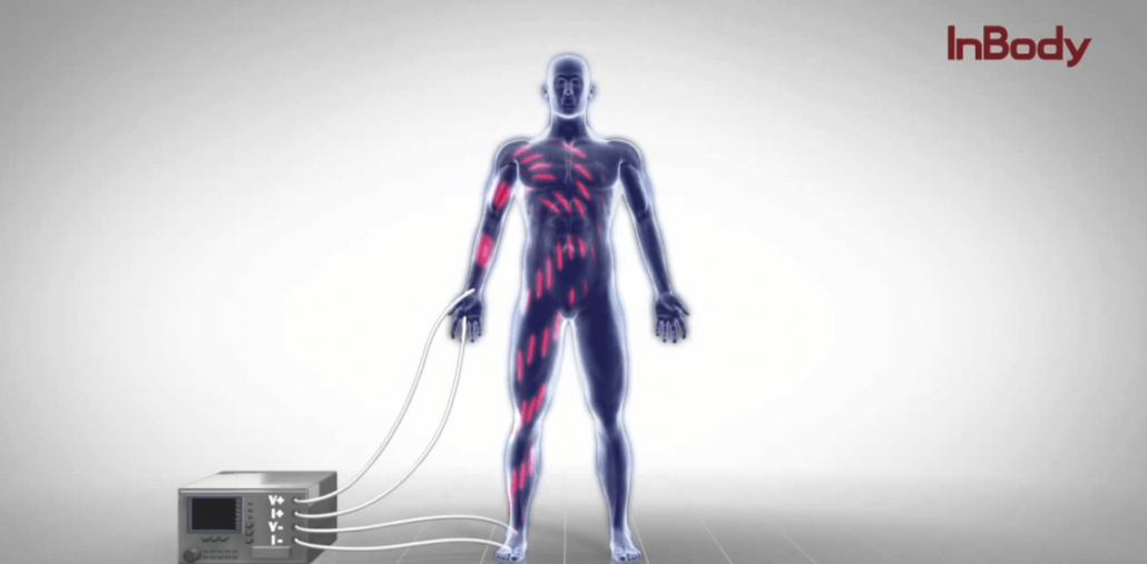 InBody Technology | InBody Oceania - Why Our BIA Devices Are The Best